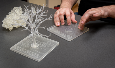 Na zdjęciu widoczne ręce człowieka i modele drzew, które znajdują się na stole.